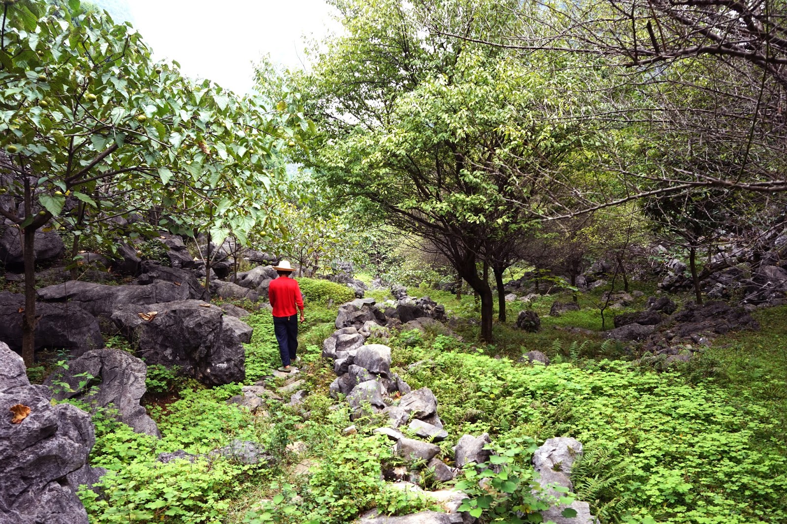 Off the beaten path // Guilin