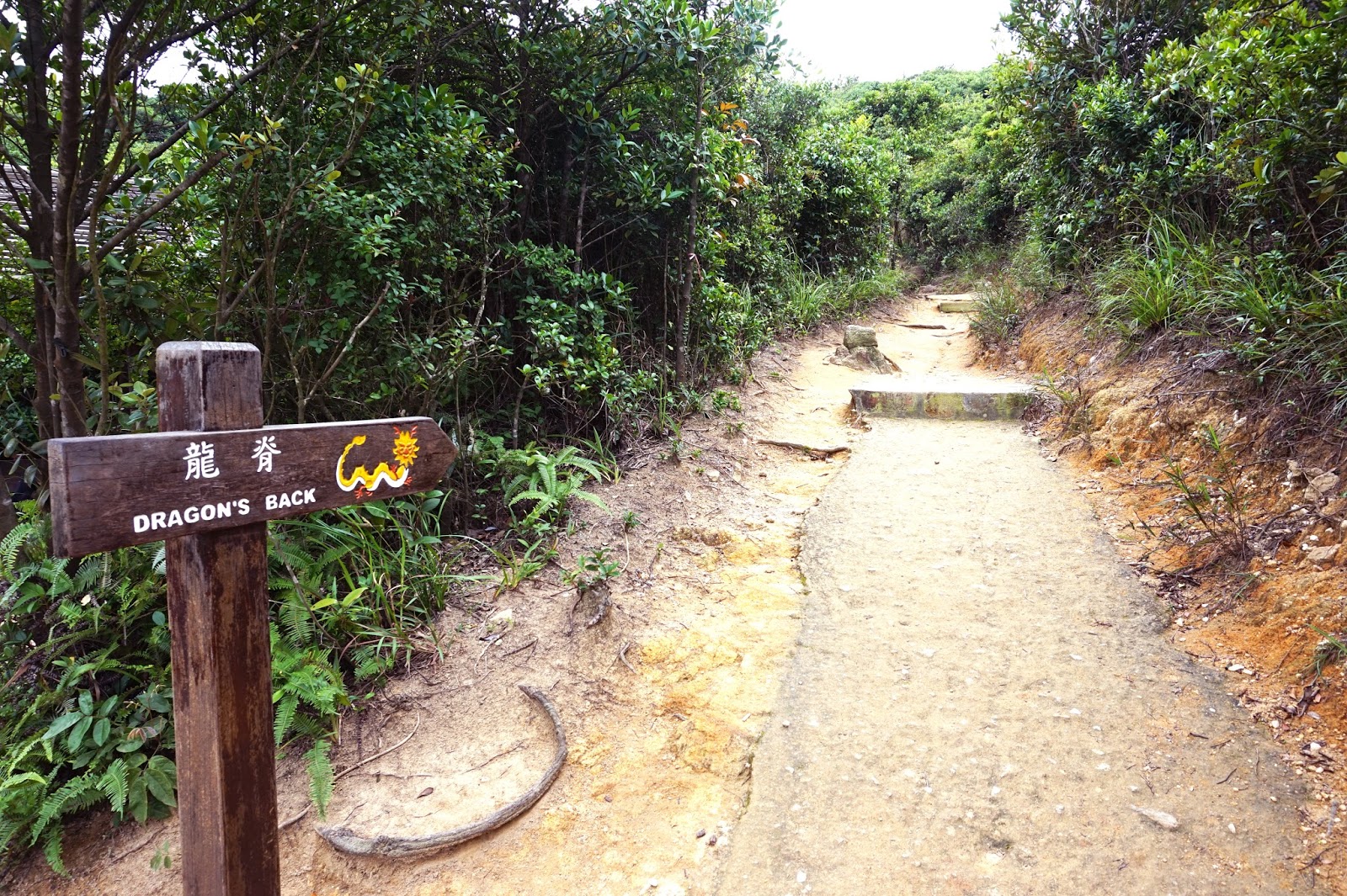 Her er Hong Kongs bedste vandresti | Off the beaten path i Hong Kong