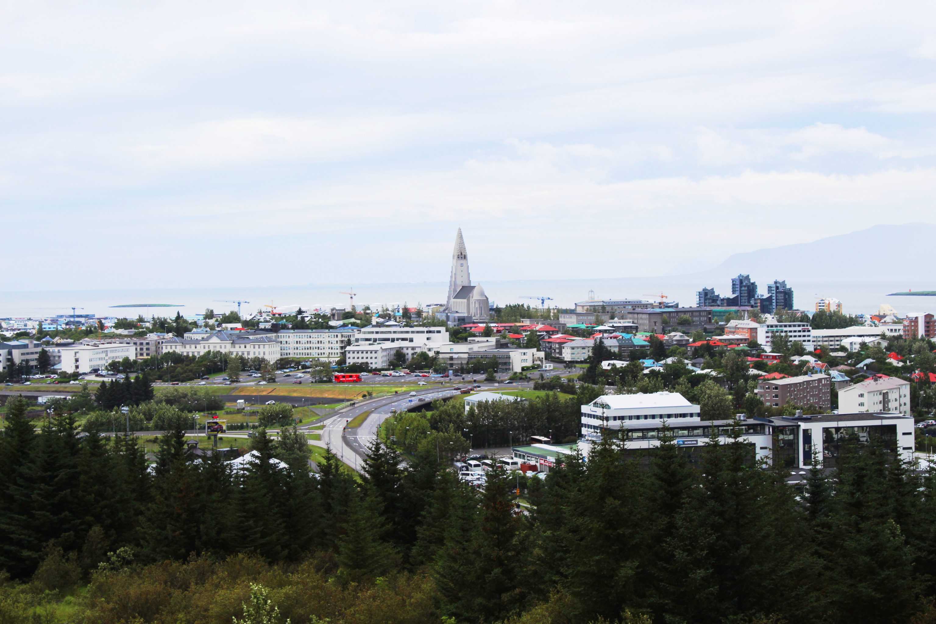 Guide til Reykjavik | Dette skal du se, lave & spise