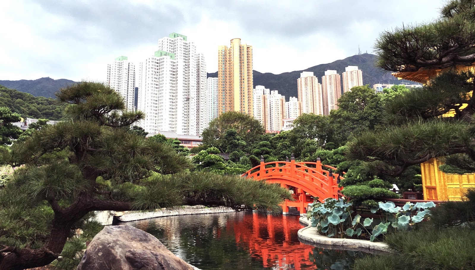 8 budgetvenlige oplevelser i Hong Kong