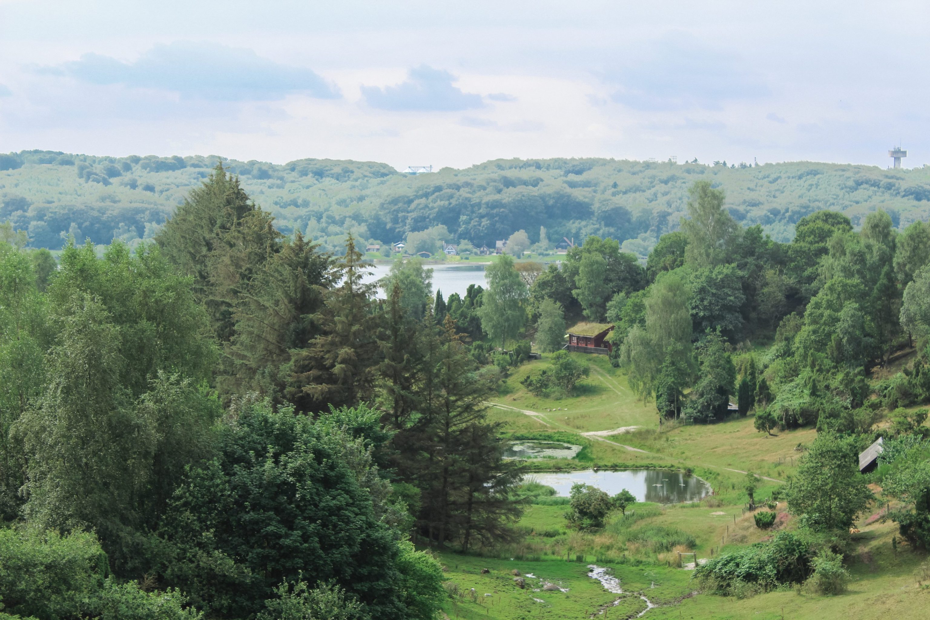 Panoramaruten i Mariagerfjord | Tag på vandretur i Danmark